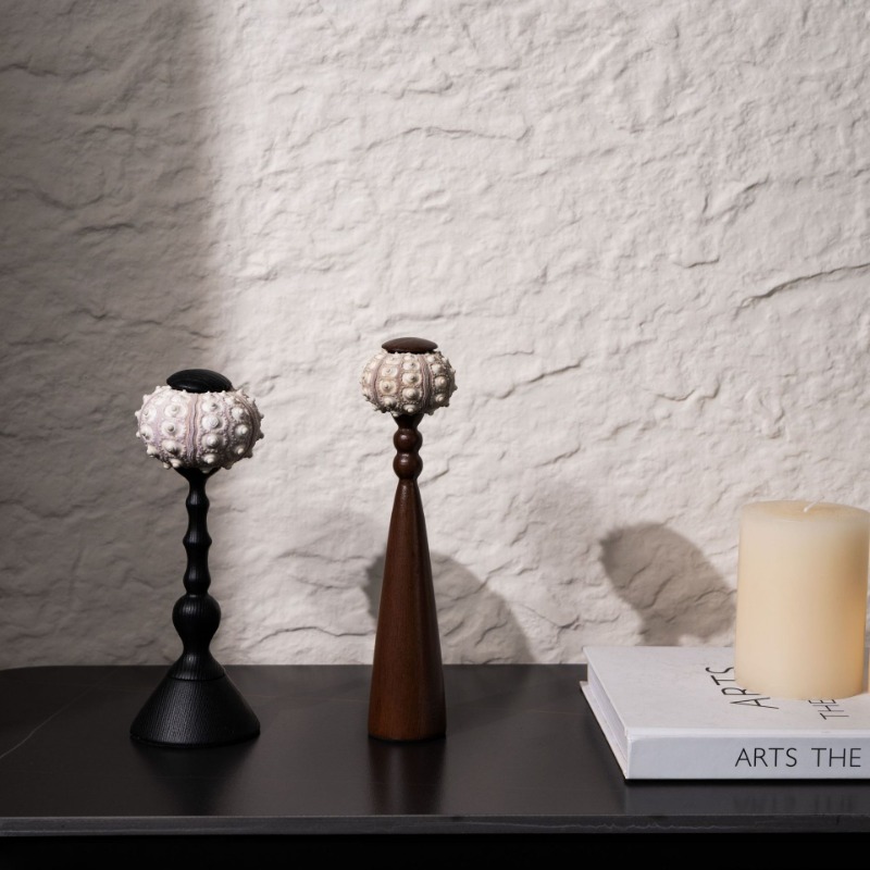 창의적인 소라 조각품, 수공예 바다에서 영감을 받은 예 - Interior Design Exhibition 리뷰 및 가격