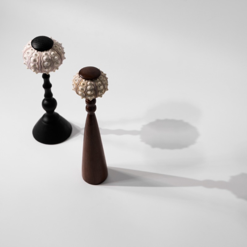 창의적인 소라 조각품, 수공예 바다에서 영감을 받은 예 - Interior Design Exhibition 리뷰 및 가격